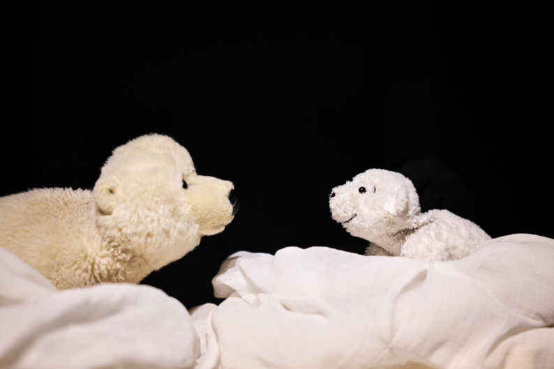 Kleiner Eisbär_011