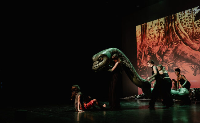 Kaa Premiere